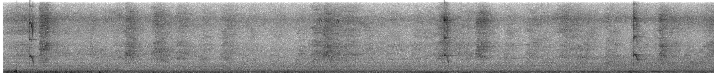 Декол плямистоволий - ML612631851