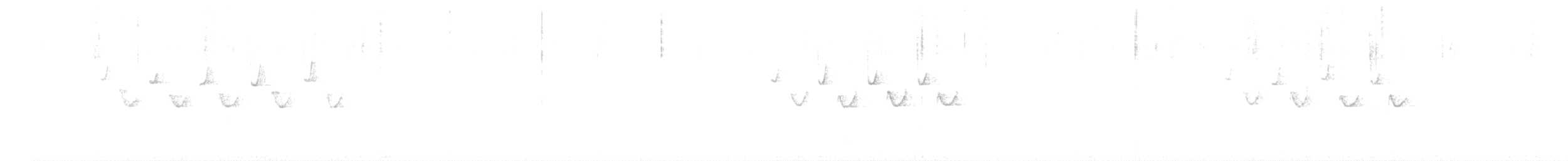 Coal Tit - ML612632890