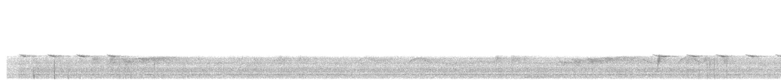 Weidenmeise [montanus-Gruppe] - ML612633472