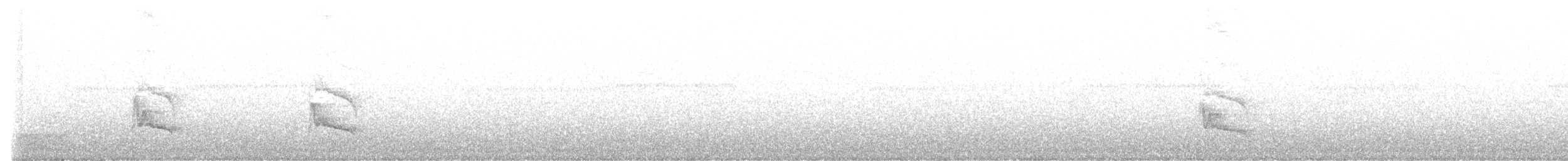 Кокоа плямистий - ML612639858