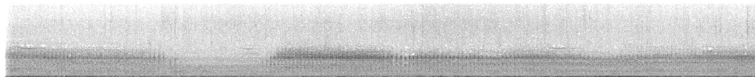 White-throated Crake - ML612644768