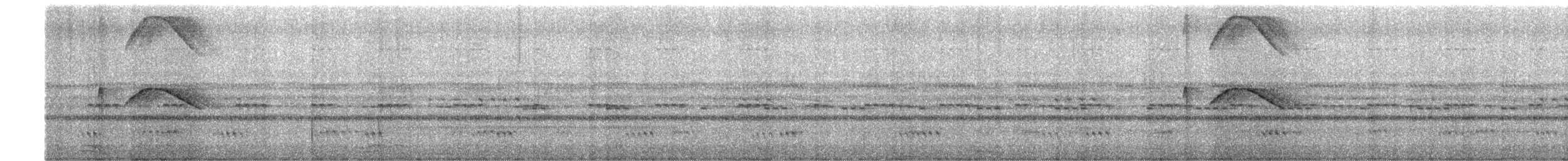 White-tailed Nightjar - ML612645887