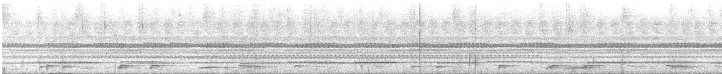 Себуанская иглоногая сова - ML612651959