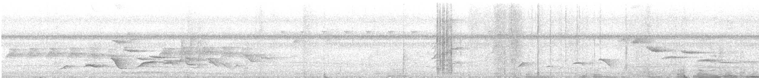 Темноспинный свистун (major) - ML612652433