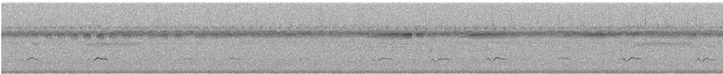 太平洋金斑鴴 - ML612655646