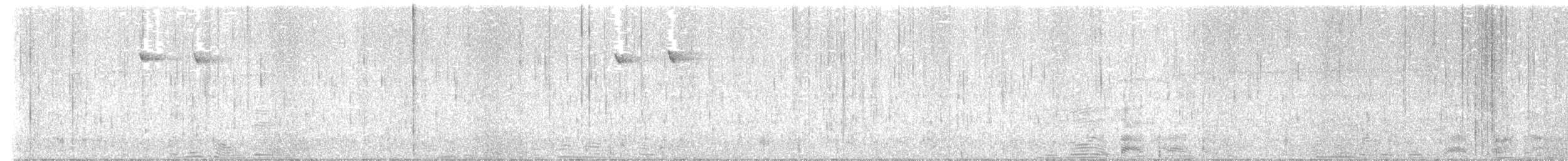 Снежнобровая мухоловка - ML612655882