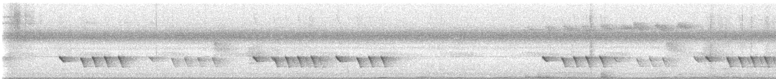 Allotrie siamoise (groupe aeralatus) - ML612656181