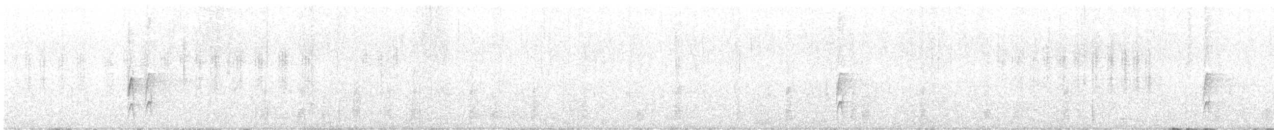 strakapoud šedočelý - ML612656394