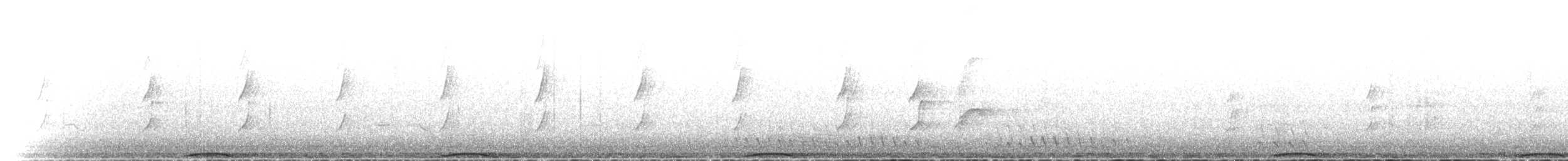 holub chocholatý - ML612657698