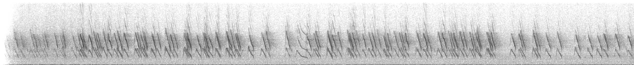 Méliphage orné - ML612657718