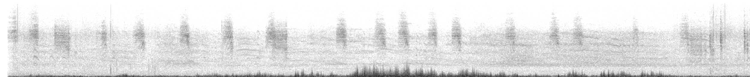 Troglodyte austral - ML612660365