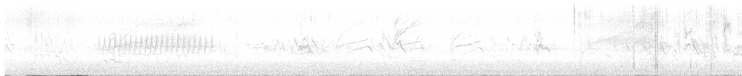 Pine Siskin - ML612660797