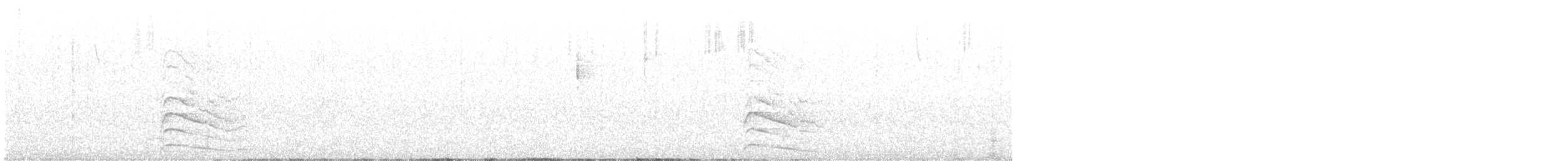 Дятел-смоктун білочеревий - ML612663073