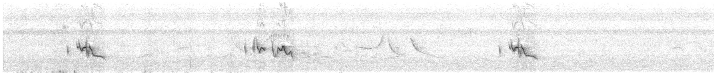 Трав’янець гострохвостий - ML612667768