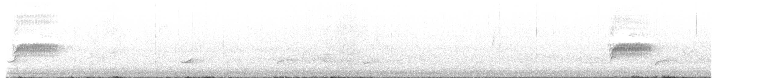 Тауї плямистий - ML612667851