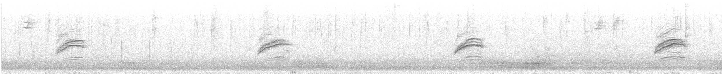 Münzevi Bülbül Ardıcı - ML612677367