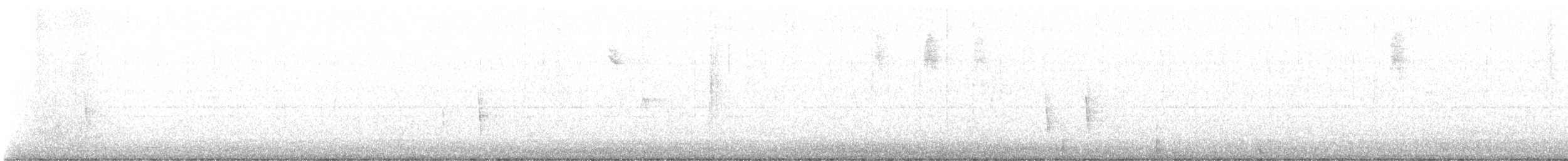 Hermit Thrush - ML612677377