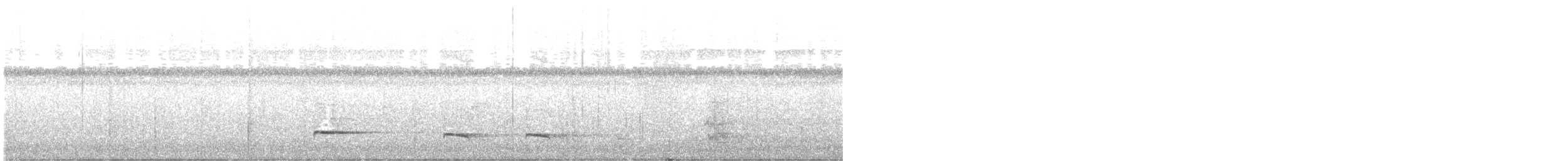 Graubrust-Ameisendrossel [hoffmanni-Gruppe] - ML612683564