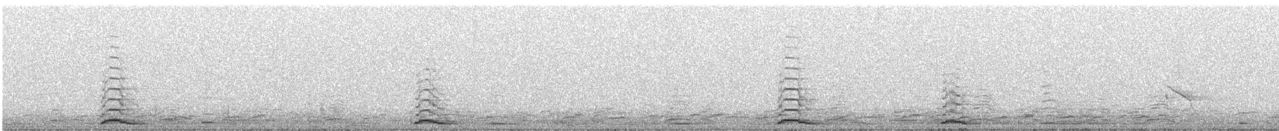 Cygne siffleur - ML612684597