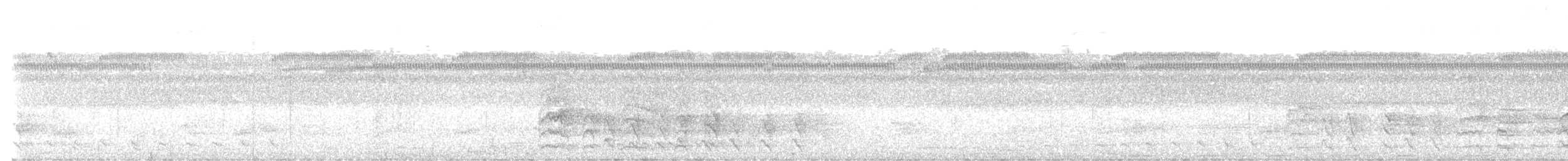 Биакский райский зимородок - ML612686791