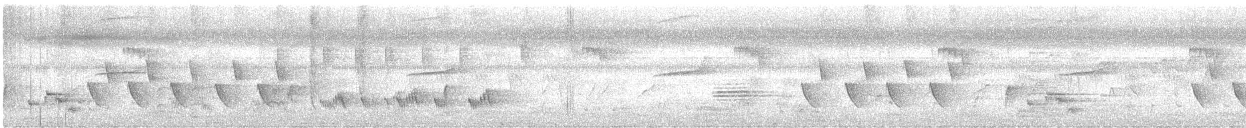 langhaleskredderfugl - ML612688141