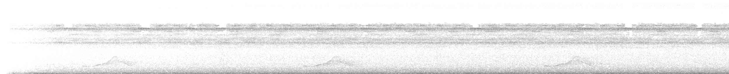 Pauraquenachtschwalbe - ML612688645