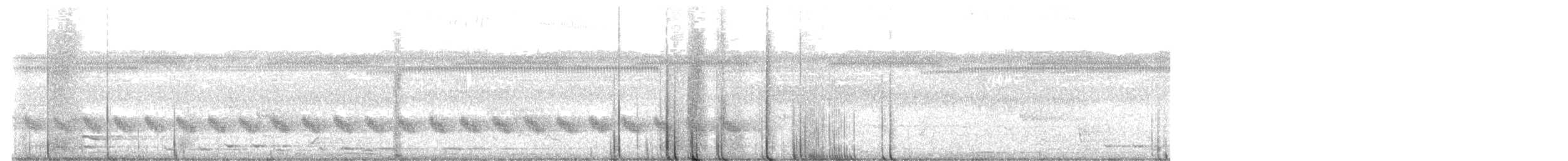 sikadefugl (meyerii/numforanum) - ML612691079