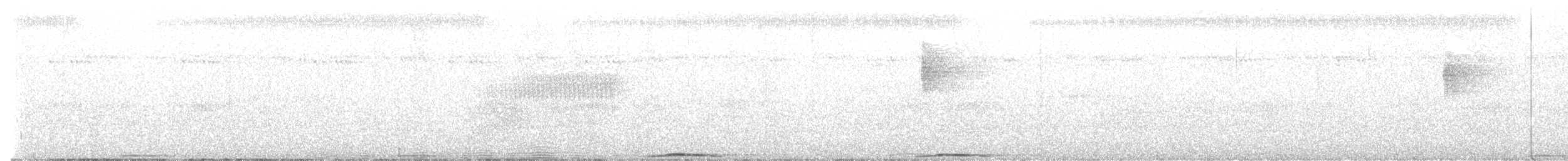 holub černobradý - ML612691524
