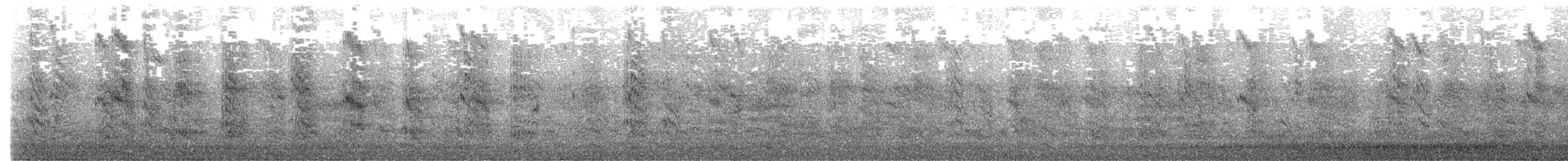 White-fronted Tern - ML612694672