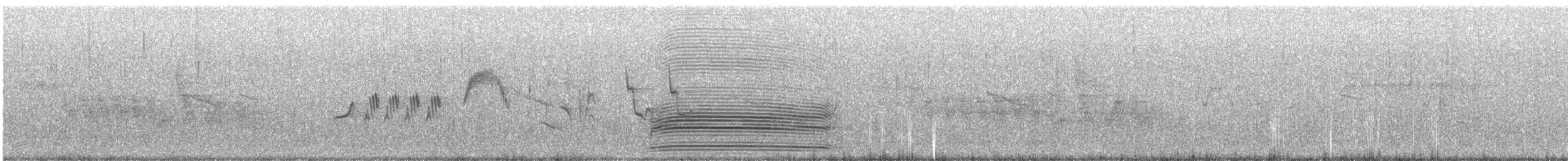Горихвістка звичайна (підвид phoenicurus) - ML612695229
