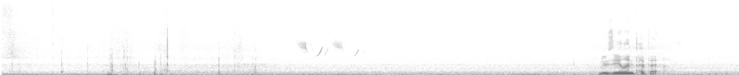 Bisbita Neozelandés (grupo novaeseelandiae) - ML612696468