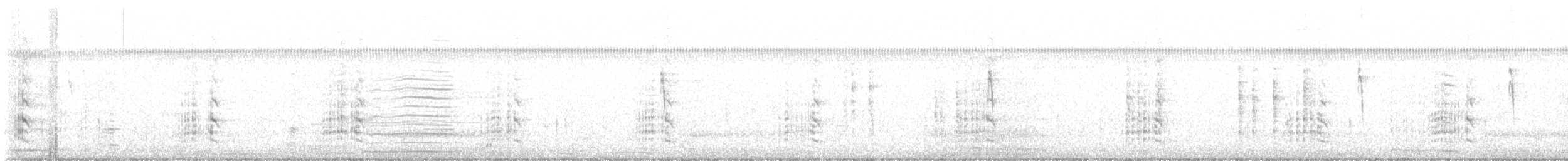 פורפיריה אפורת-ראש - ML612697761