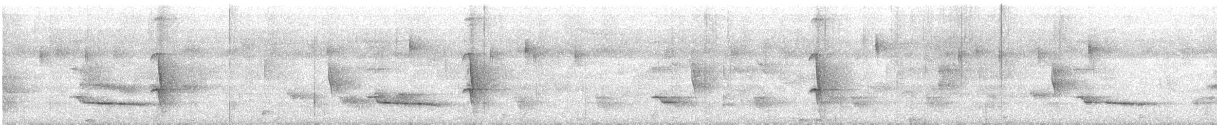 Porte-éventail de Swainson - ML612698542