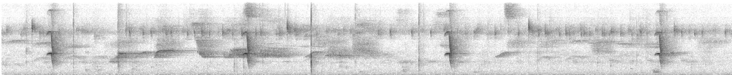 Porte-éventail de Swainson - ML612698543