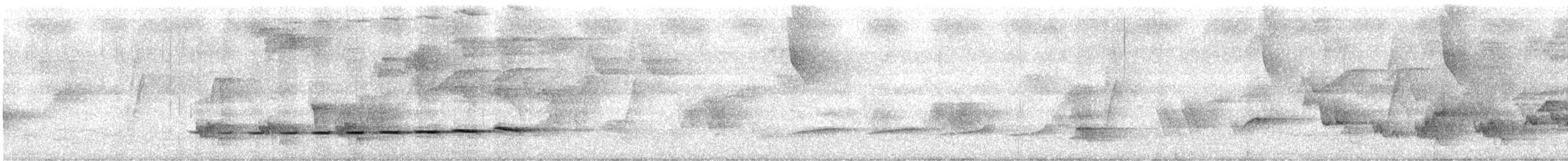Grallaire de Natterer - ML612699261