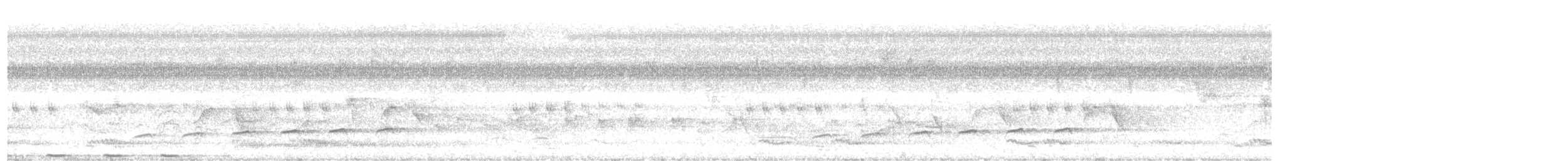 Зозуля-дронго вилохвоста - ML612703212