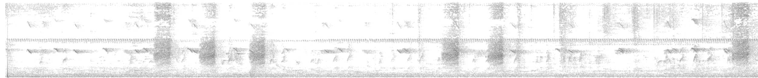 Long-tailed Shrike - ML612709578