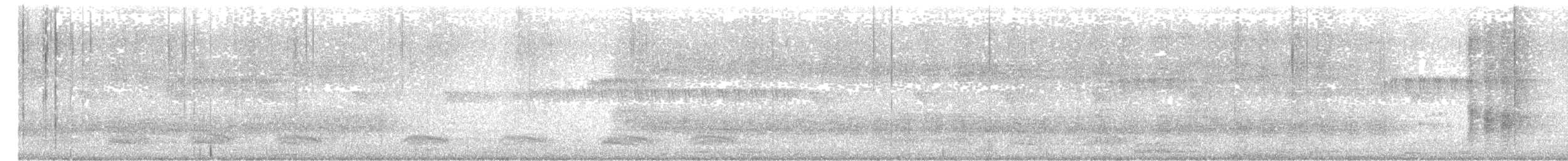 Cratérope affin - ML612711549