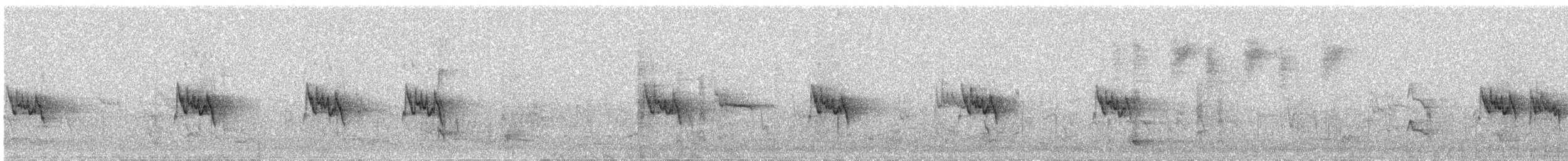 Graumantel-Brillenvogel - ML61271161
