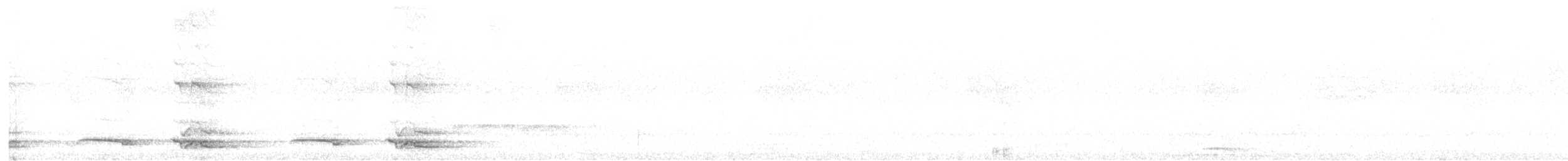 White-tipped Quetzal - ML612718398