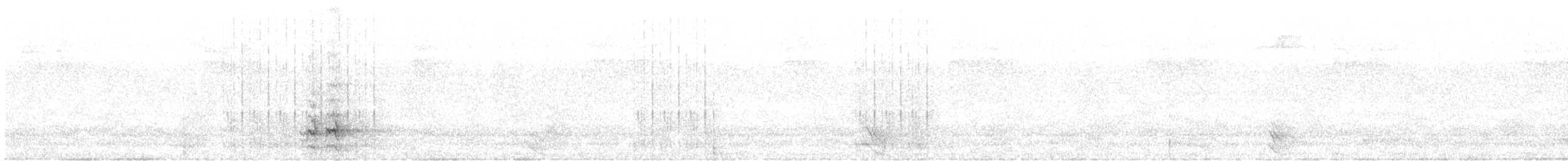 White-tipped Quetzal - ML612718413