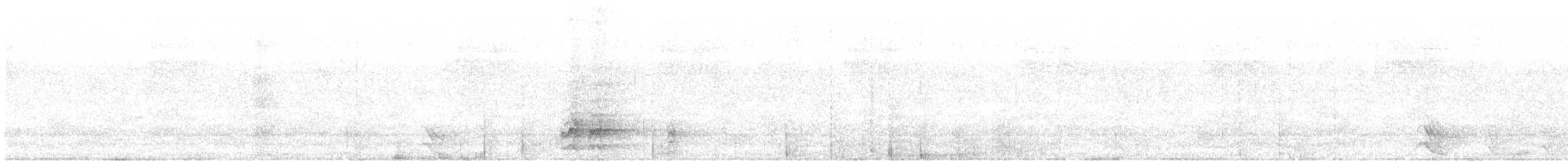 Beyaz Kuyruklu Ketzal - ML612718414