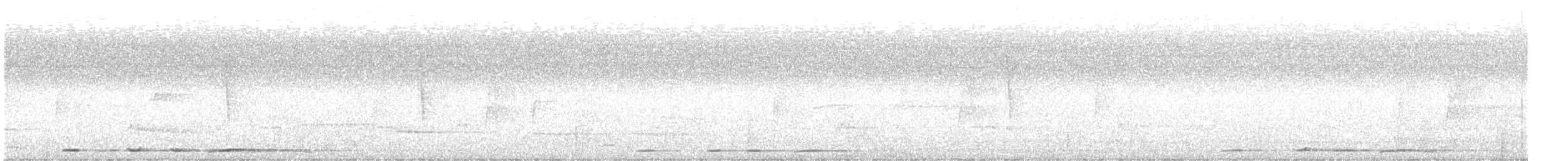 holub krátkozobý - ML612729180