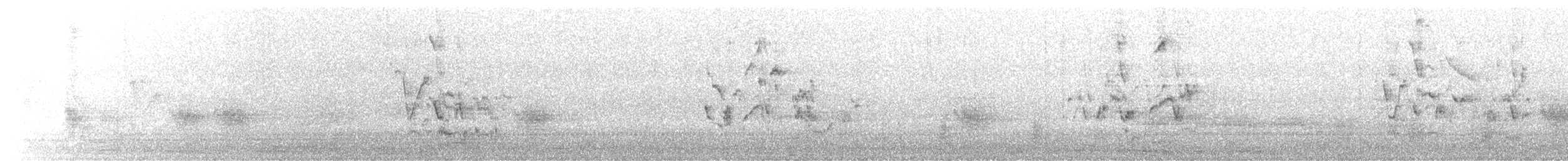 rehek bělohlavý - ML612730201