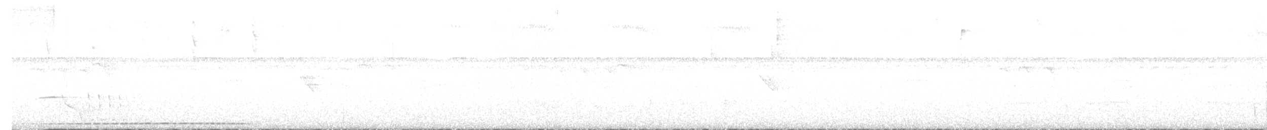 Kehlband-Ameisenpitta - ML612731389
