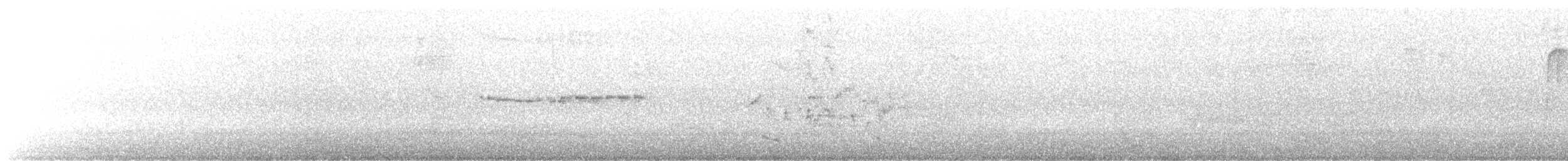 Горихвістка водяна - ML612732643