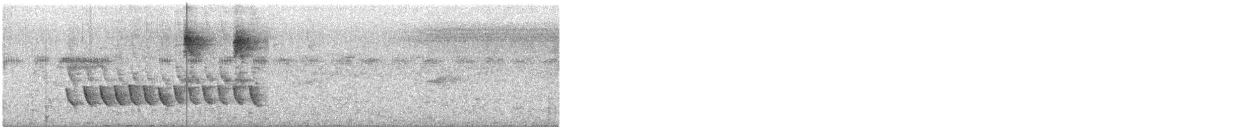Белокрылый бекард - ML612736047