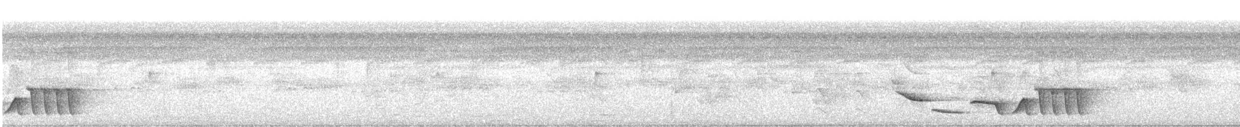 Kara Gerdanlı Çıtkuşu - ML612739064