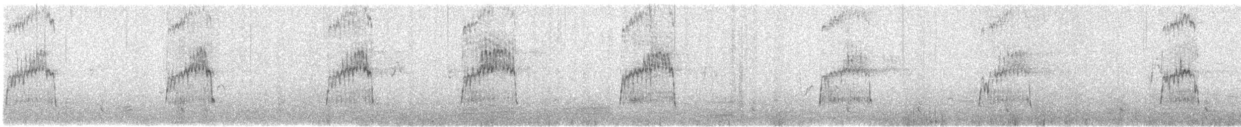 Ibis sacré - ML612739077