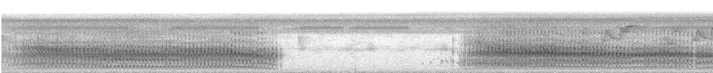 White-throated Crake (Gray-faced) - ML612739134